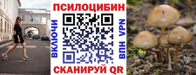 Псилоцибиновые грибы Psilocybe  Невельск 